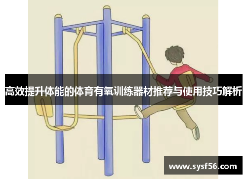 高效提升体能的体育有氧训练器材推荐与使用技巧解析