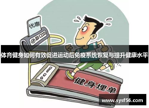 体育健身如何有效促进运动后免疫系统恢复与提升健康水平