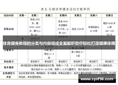 体育健身教程的分类与内容组成全面解析助你轻松打造健康体魄