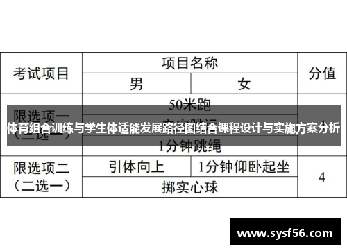 体育组合训练与学生体适能发展路径图结合课程设计与实施方案分析