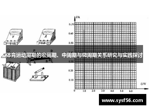 体育运动周期的宏周期、中周期与微周期关系研究与实践探讨