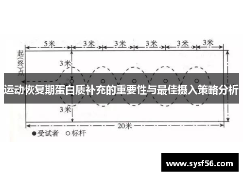 运动恢复期蛋白质补充的重要性与最佳摄入策略分析