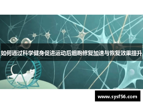 如何通过科学健身促进运动后细胞修复加速与恢复效果提升