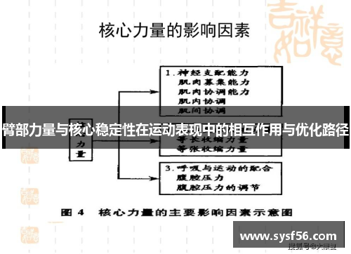 臂部力量与核心稳定性在运动表现中的相互作用与优化路径